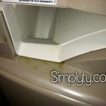 IMG_1382